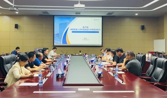 有研工研院召開2025年半年度經(jīng)濟(jì)運(yùn)行分析會(huì)